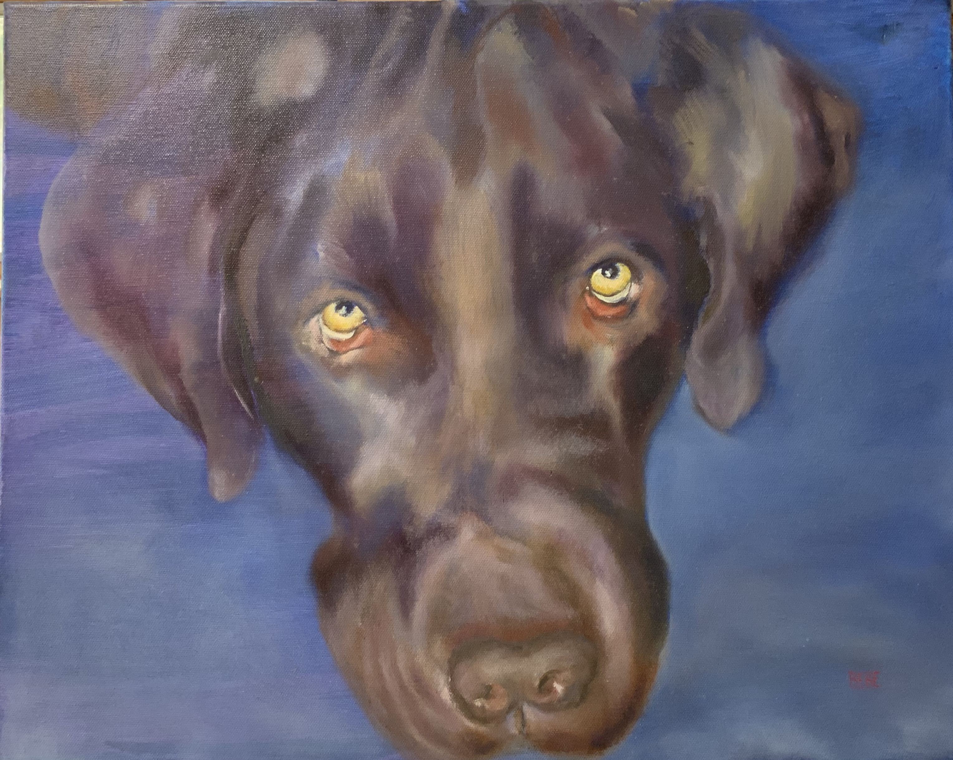 Lab Eyes