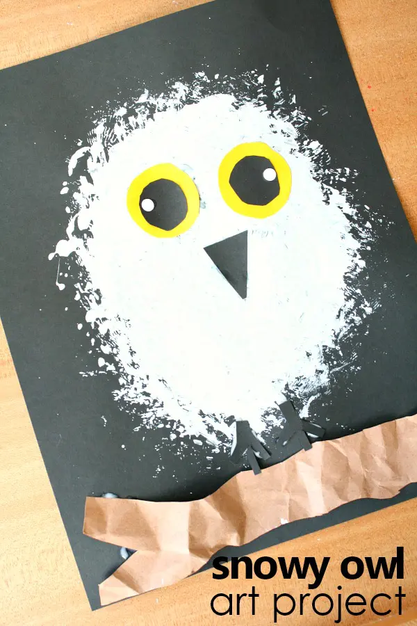 Snowy Owl Paint Craft