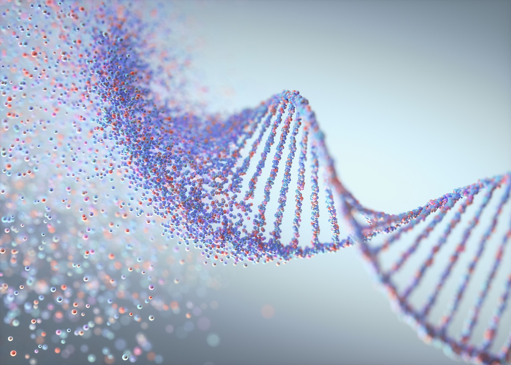 Interesting Things Your Teeth Can Say About Your Genetic Ancestry