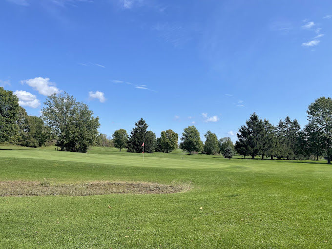Meadow Links 2.jpeg