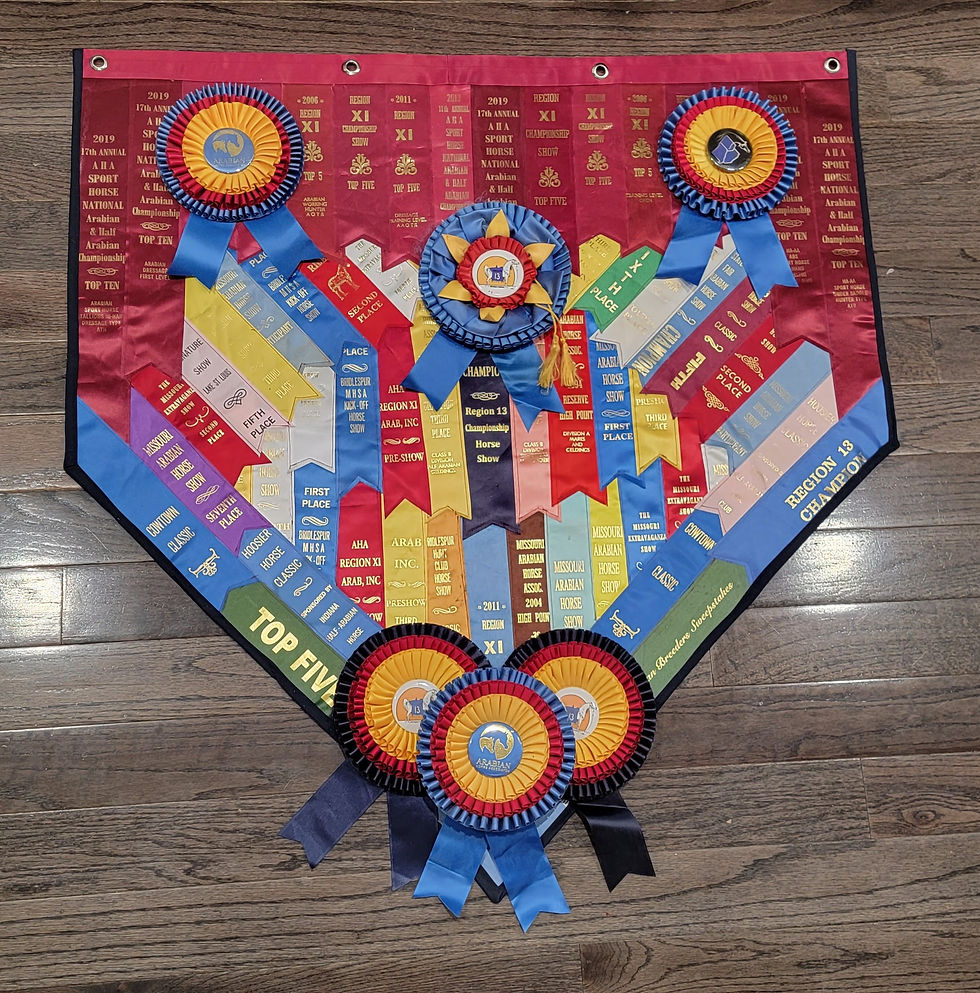 Thumbnail: Ribbon Banner