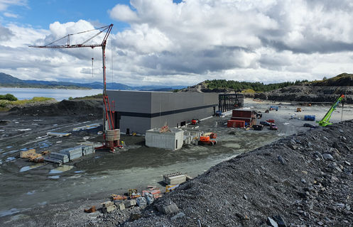 15937820349277470667283005612263.jfif