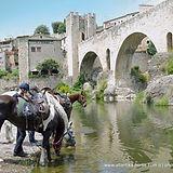 31-DSC_0225 BESALU cel blau.jpg