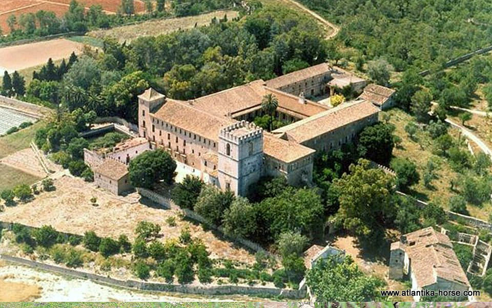 Монастыри Валенсии