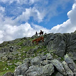 pays basque site (33).JPG