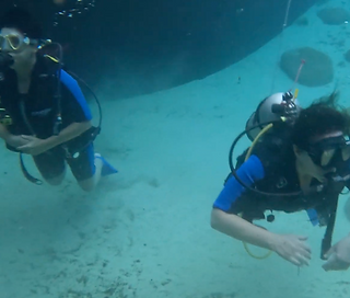 Captura de Tela 2026-04-07 às 13.45.51.png