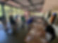 team building 14.JPG