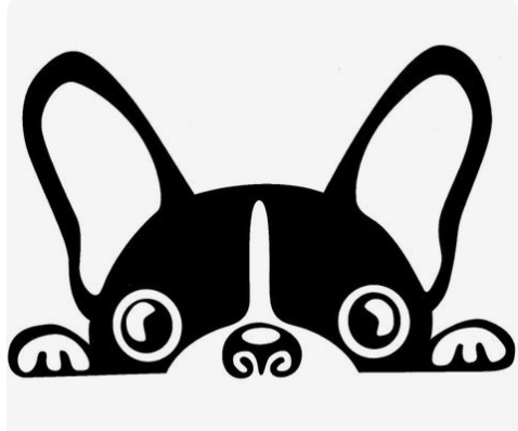 Rogério Dog