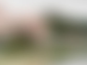 Икигай: японската тайна за дълъг и щастлив живот