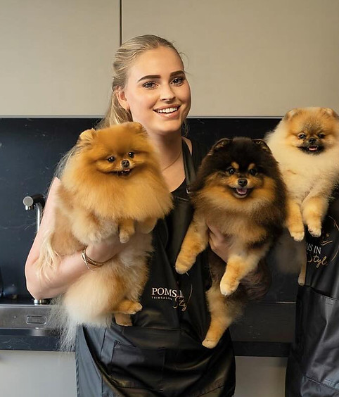 Eigenarese Poms In Style