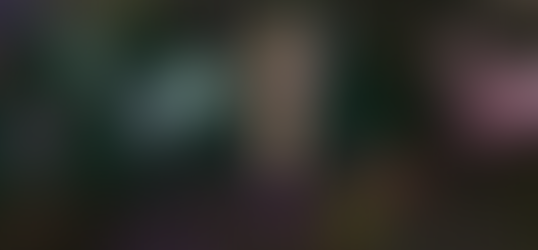 The Fantasy Faire Adventure #4