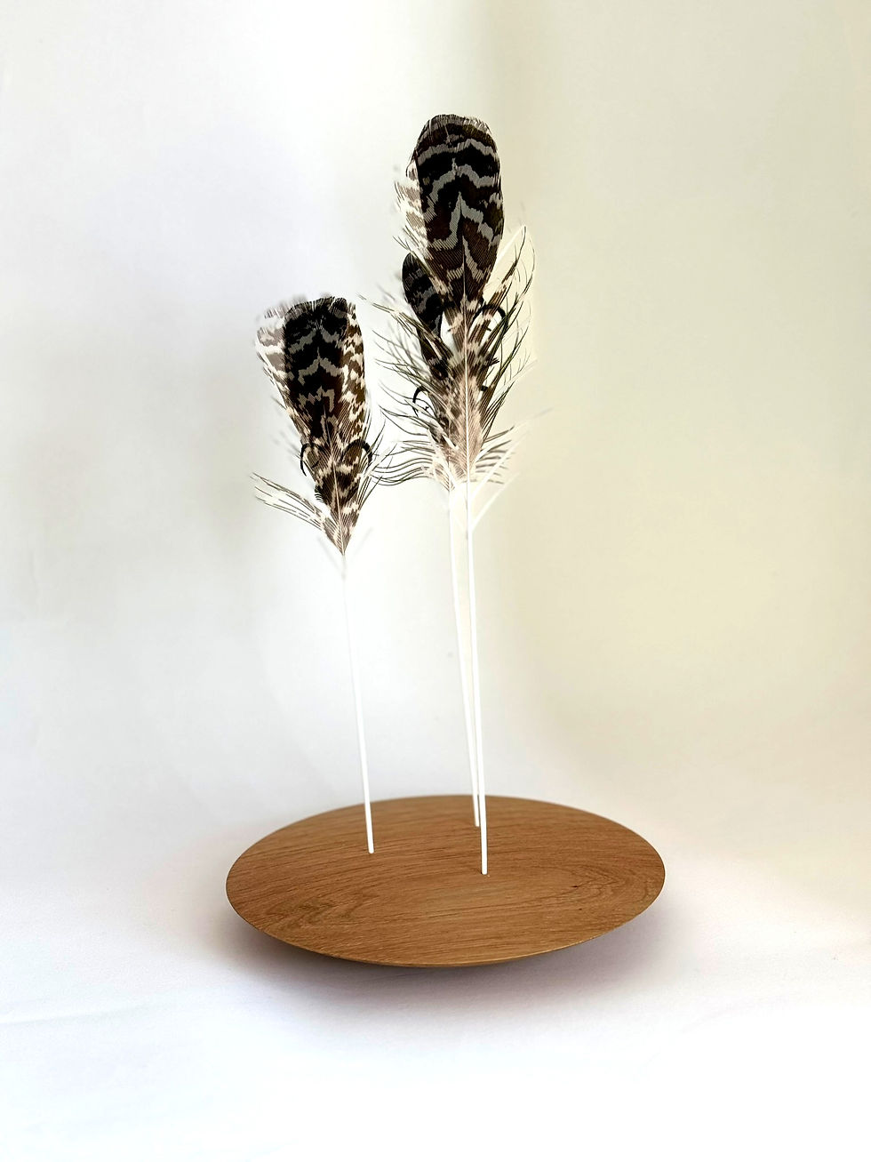 Miniature : Les Vigies