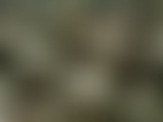 PAQUETE TECNOLÓGICO PARA AGAVE.