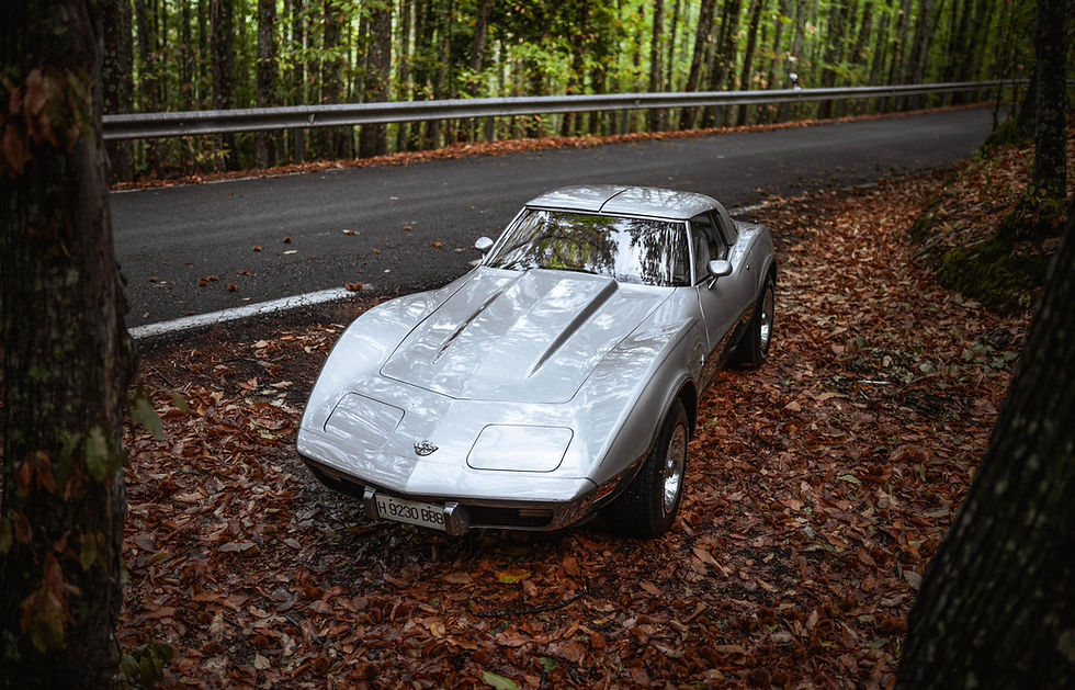 Thumbnail: Chevrolet Corvette C3 1978