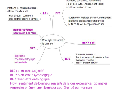 Bonheur ou bien-être, faut-il choisir ?