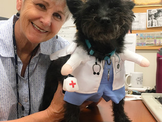 Employee Spotlight - June 2018