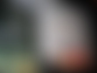 Plaza Grande se llenará de tradición con la Gran Muestra Estatal de Altares