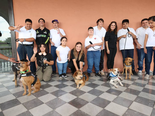 Desbordarán amor, ladridos y empatía los nuevos Reyes Caninos del Carnaval Mérida 2026