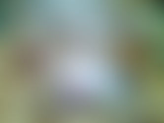 Yucatán impulsa turismo regional en Tianguis Nacional de Pueblos Mágicos