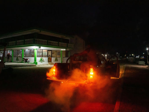 Gobierno del Estado refuerza medidas contra el mosquito de la ciénaga