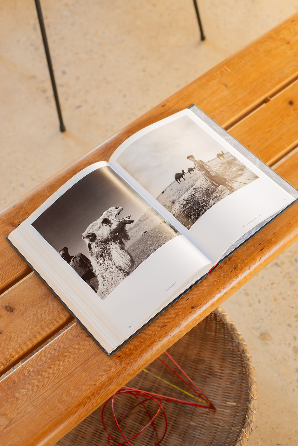 Thumbnail: "Horst Photographer of Style" First Edition 2015  Published to accompany a headline exhibition at the V&A, this book is the d