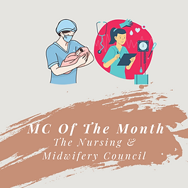 Speaker Image - Nursing & Midwifery Council