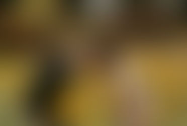 What To Wear For Your Photoshoot