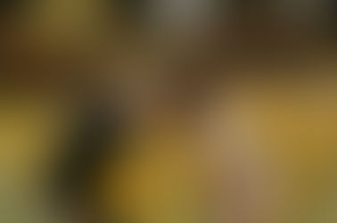 What To Wear For Your Photoshoot