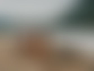 2026 Vernon and Kelowna Summer Minis