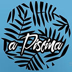 apiscina.jpeg