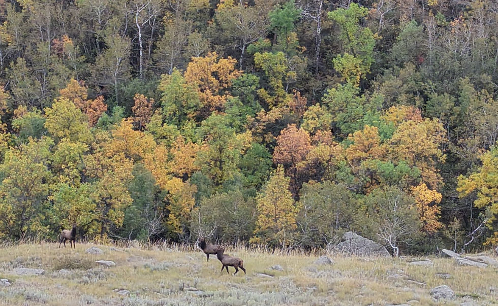 Photo Jan 02 2026, 9 04 35 PM (3) (1).jpg