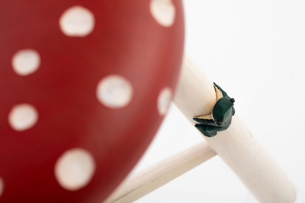 Thumbnail: The Toad Stool