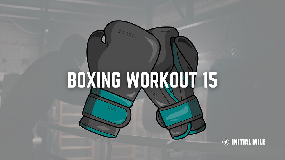 initial mile boxing gloves