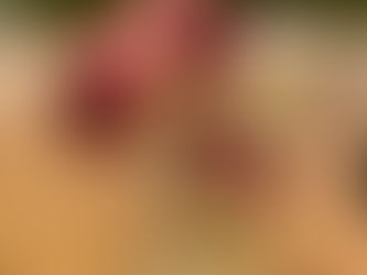 Nya lås, p-tillstånd och städdag