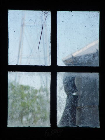 A window into God's Will