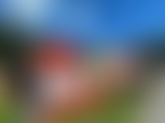 Gastgeber & Titelverteidiger