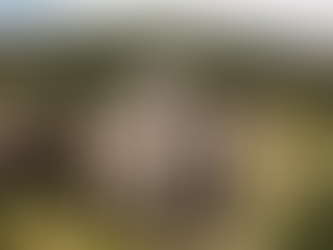 Samtavro Monastery – UNESCO World Heritage