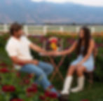 Sunset Among the Blooms: Date Night (1)