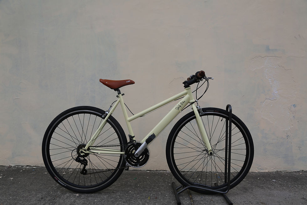 Bicicleta tipo Fixed con cambios