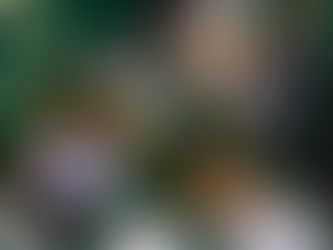 Planning for Instagram in 2023: Key tips to maximise your presence on the app 📍