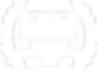 Layer 0 (1).png
