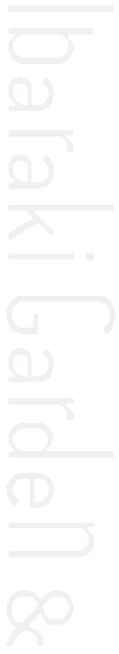 about_01.png