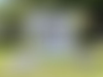 Le Cadeau / IBARAKI Flower Market