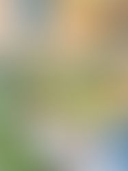 3 weeks to go! Tsukuba Flower Market and OPEN LIBRARY