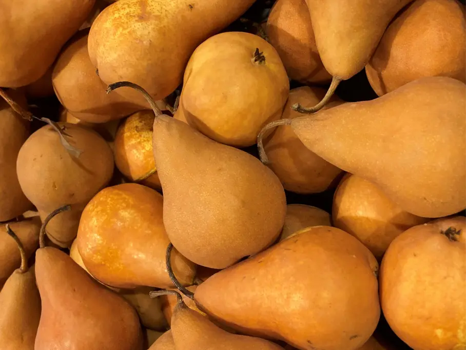 Harvest -- Its the most wonderful time of the year