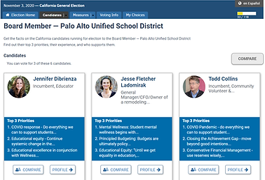 Screenshot of customized government software