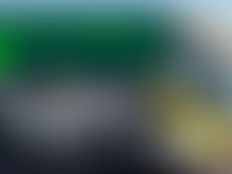 Os moradores de Ponte Alta Norte, no Gama, Brasília - DF, estão enfrentando dificuldades devido à escassez de ônibus e à falta de paradas na Avenida Buritis.