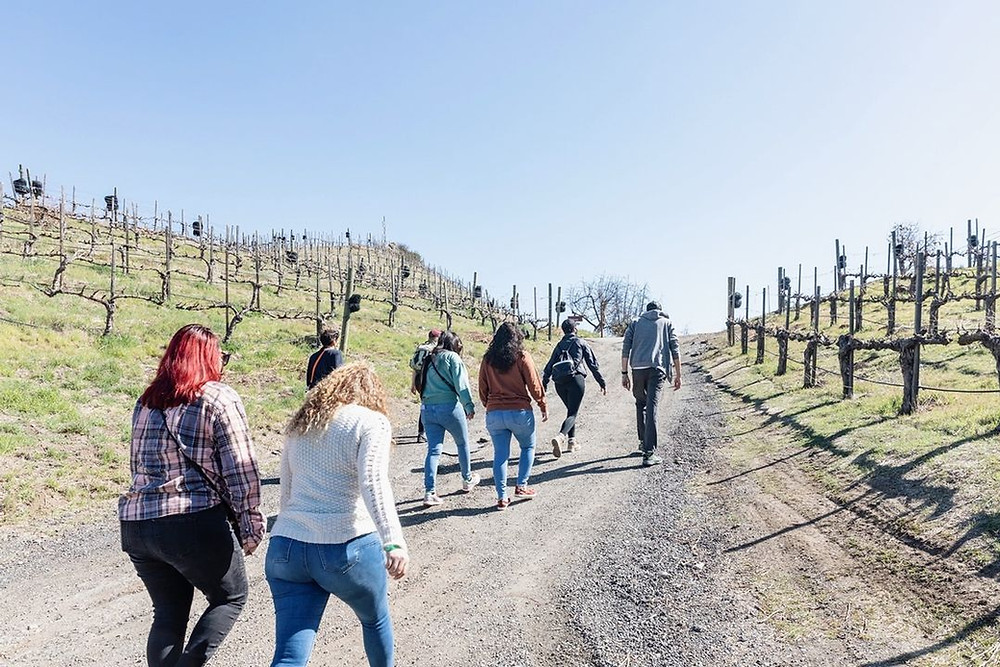 Malibu Wine Hike
