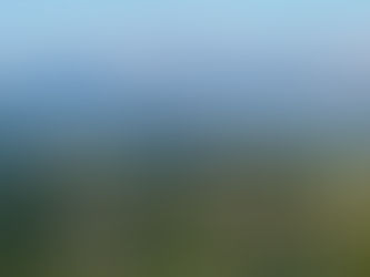 The Ultimate Guide to Woodland Hills, California