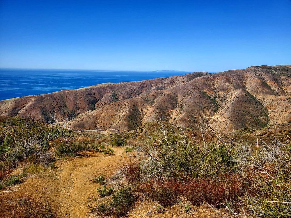 Nicholas Flat Trail